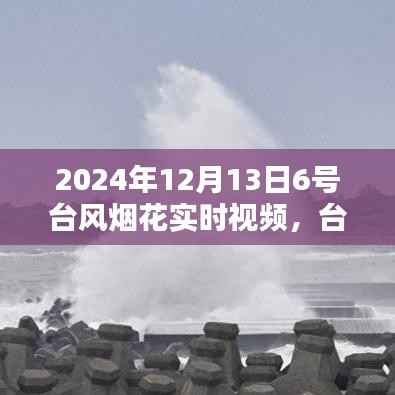 台风烟花下的温馨日常,与友共度美好时光(实时视频)
