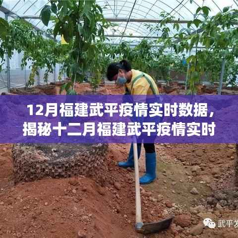 福建武平疫情实时数据深度解读与分析报告