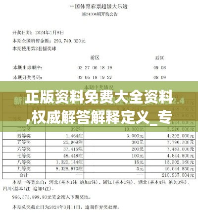 正版资料免费大全资料,权威解答解释定义_专业款19.416