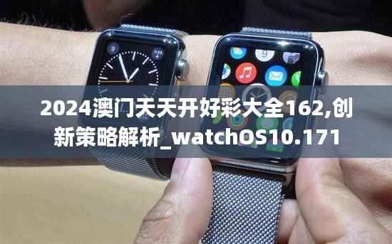 2024澳门天天开好彩大全162,创新策略解析_watchOS10.171