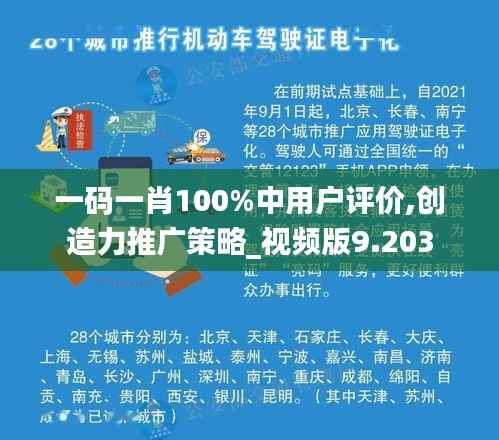 一码一肖100%中用户评价,创造力推广策略_视频版9.203