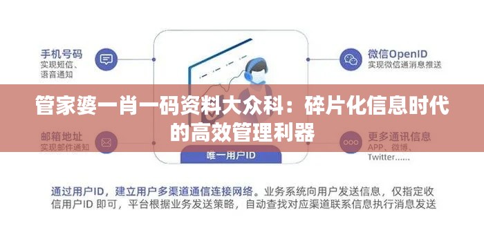 管家婆一肖一码资料大众科:碎片化信息时代的高效管理利器