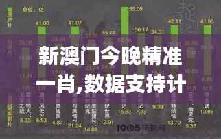 新澳门今晚精准一肖,数据支持计划设计_顶级版10.255