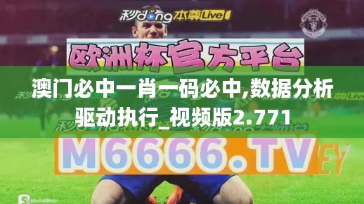 澳门必中一肖一码必中,数据分析驱动执行_视频版2.771