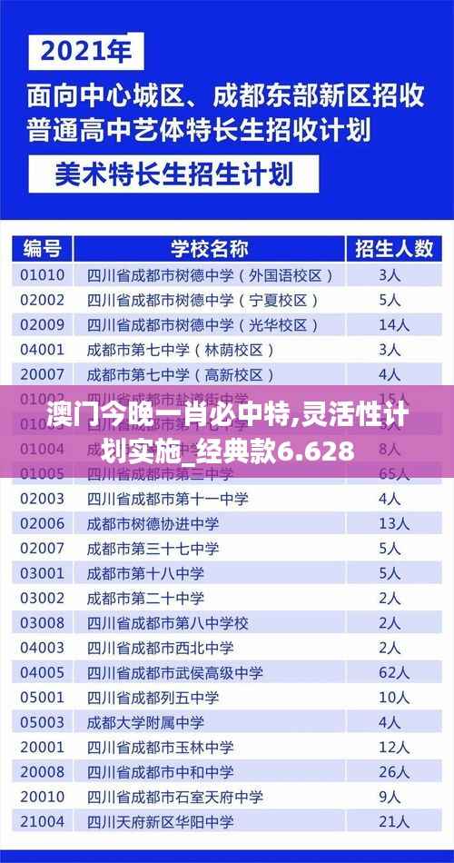 澳门今晚一肖必中特,灵活性计划实施_经典款6.628