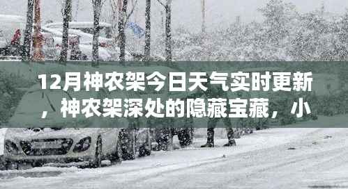 神农架深处宝藏揭秘,12月天气与小巷特色小店的奇妙交融