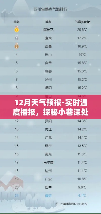 纲举目张 第3页