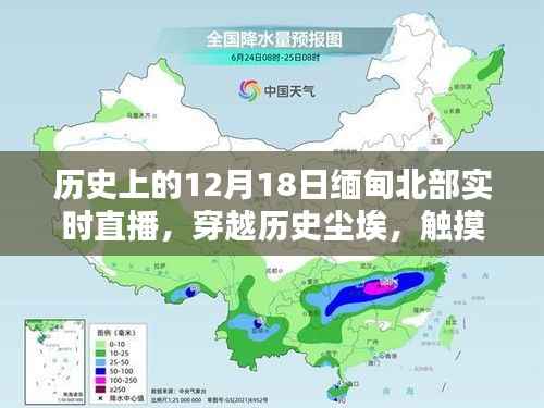 乌鸟私情 第2页