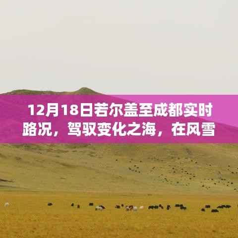 风雪若尔盖至成都之路，驾驭变化之海，励志传奇启程