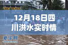 鸟啼花怨 第4页