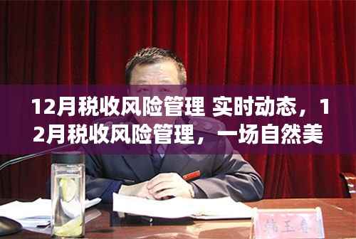 税收风险管理实时动态,自然美景下的心灵之旅与风险管理探索