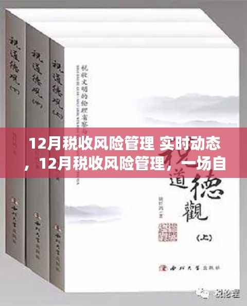 税收风险管理实时动态,自然美景下的心灵之旅与风险管理探索