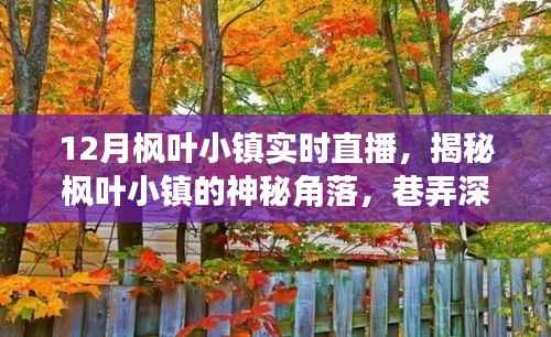12月枫叶小镇深度探索,神秘角落与巷弄小店的直播揭秘