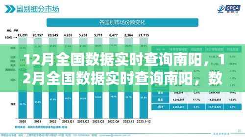 南阳12月全国数据实时查询，公开透明化的双刃剑效应解析