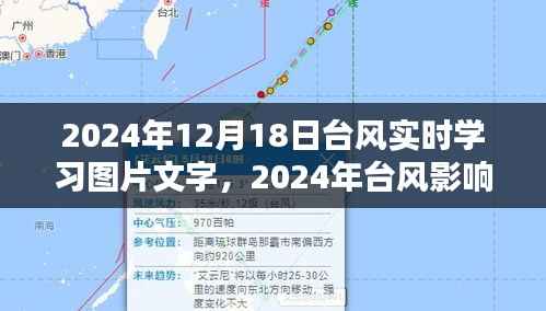 台风影响下的实时学习图片文字研究,观点阐述与探讨
