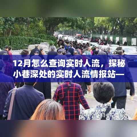 探秘隐藏式人流查询指南,实时掌握小巷深处人流情报的秘诀