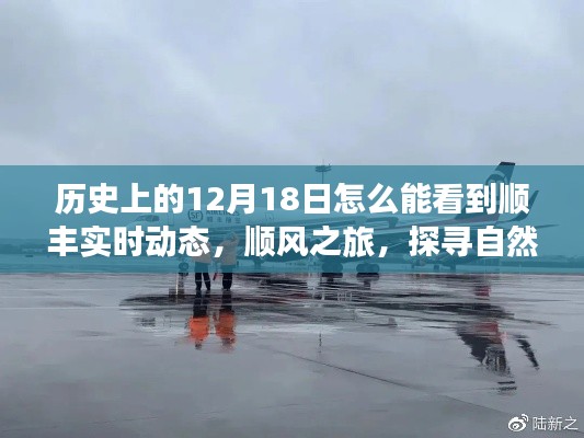 12月18日顺风之旅,探寻自然美景背后的故事,顺丰实时动态揭秘奇妙旅程