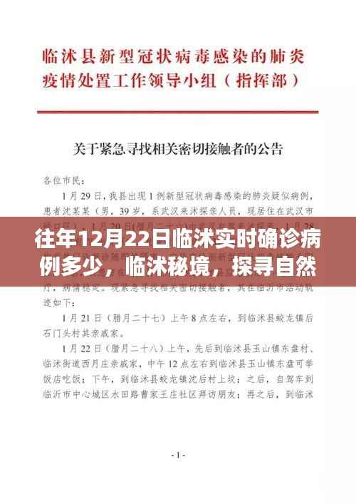 临沭实时确诊病例更新及秘境自然美景探寻之旅,重拾内心的宁静与和谐