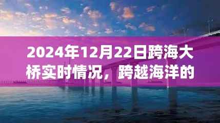 跨海大桥壮丽景色与宁静之旅,实时探寻桥梁下的秘密之旅(2024年跨海大桥实时报道)