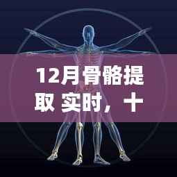 深度探究,十二月骨骼提取——历史背景、重大事件与领域地位实时解析