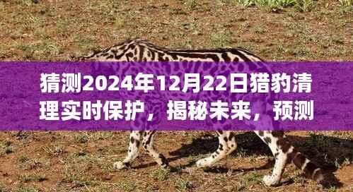 揭秘未来趋势,猎豹清理实时保护的发展与预测(展望2024年)