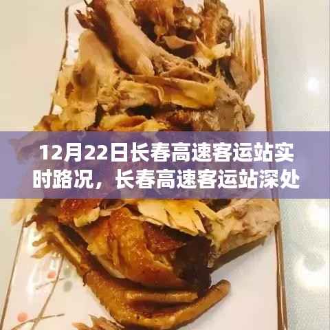 长春高速客运站实时路况与隐藏瑰宝,小巷特色小店的奇遇