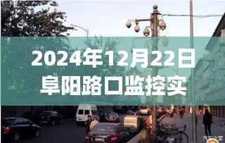 阜阳路口监控下的生活观察,学习变化,自信成就未来之路