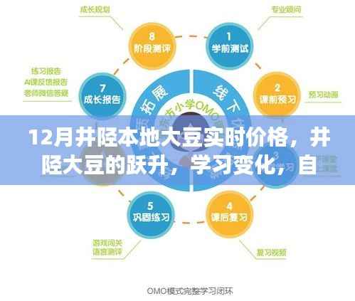 井陉大豆跃升,把握12月新机遇,实时价格与学习变化展现自信闪耀