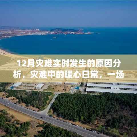 雪灾背后的暖心日常,灾难实时分析与感人瞬间