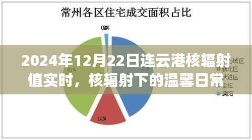 连云港核辐射下的温馨日常,实时记录趣事与感悟