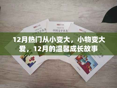 12月温馨成长故事,小物变大爱,从小到大的爱心成长之路