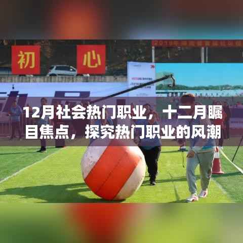 十二月热门职业风潮变迁及影响力探究