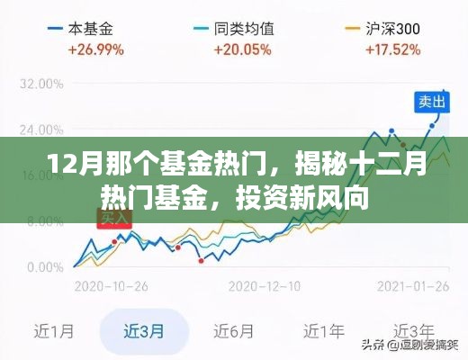 揭秘十二月热门基金,投资新风向,把握最新热门基金机会!