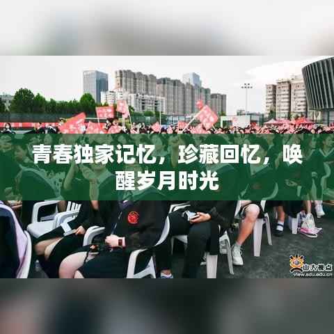 贵险贱璧 第2页