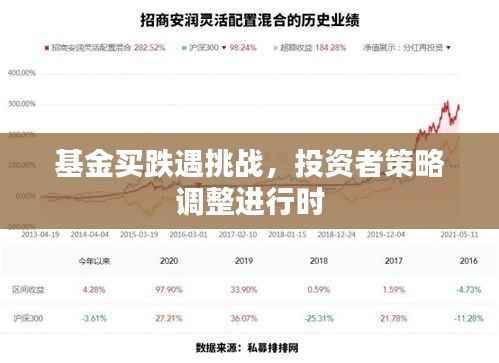 基金买跌遇挑战,投资者策略调整进行时