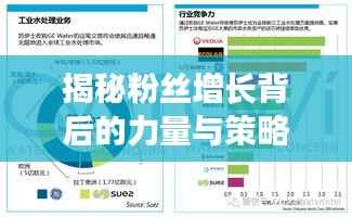 揭秘粉丝增长背后的力量与策略,揭秘背后的秘密!