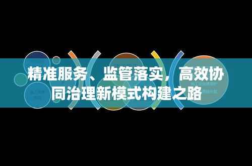 精准服务、监管落实,高效协同治理新模式构建之路