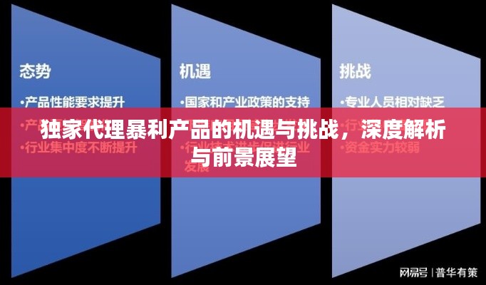 独家代理暴利产品的机遇与挑战,深度解析与前景展望