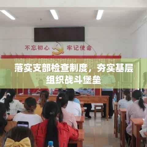 落实支部检查制度,夯实基层组织战斗堡垒
