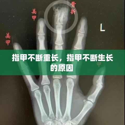 高抬贵手 第3页