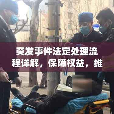 突发事件法定处理流程详解,保障权益,维护秩序的关键步骤