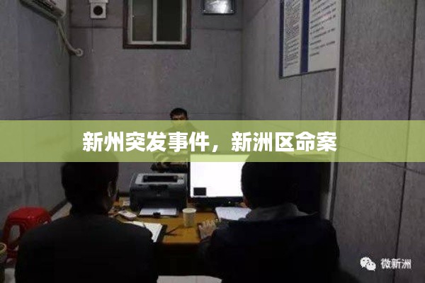 新州突发事件,新洲区命案