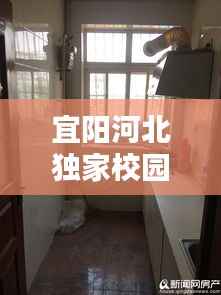 宜阳河北独家校园租房,宜阳河北房价
