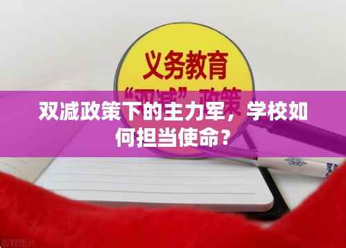 双减政策下的主力军,学校如何担当使命?