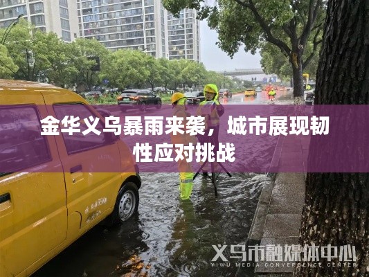 金华义乌暴雨来袭,城市展现韧性应对挑战