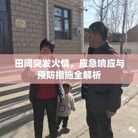 田间突发火情,应急响应与预防措施全解析