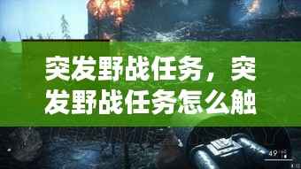突发野战任务,突发野战任务怎么触发