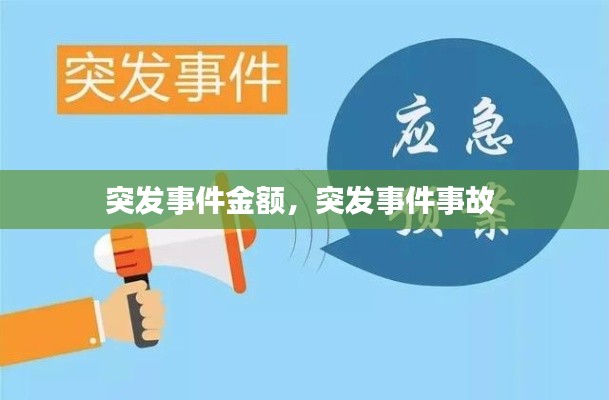 突发事件金额,突发事件事故