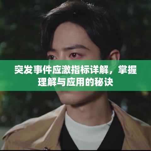 突发事件应激指标详解,掌握理解与应用的秘诀