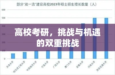 高校考研,挑战与机遇的双重挑战
